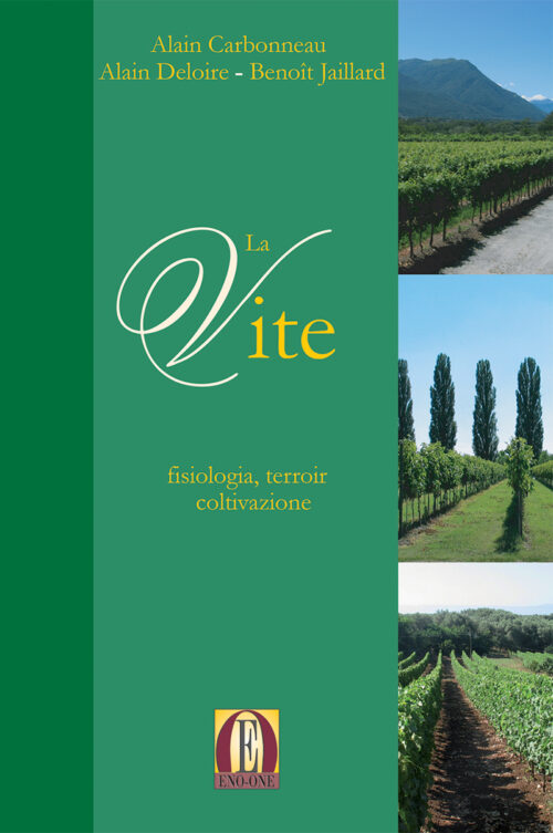 La vite: fisiologia, terroir e coltivazione